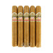 Ashton Cabinet No. 6 5 pack