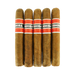 Cohiba Red Dot Robusto 5 Pack 