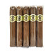 Macanudo Duke Of York 5Pack