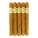 Macanudo Hampton Court 5 Pack 