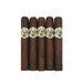 AVO Robusto Maduro 5 Pack