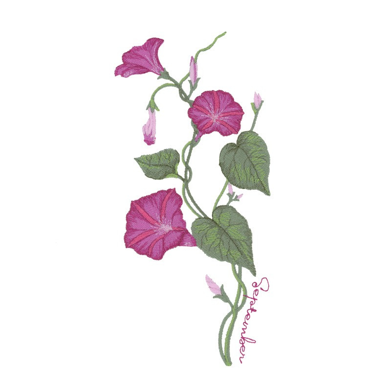 november-birth-flower