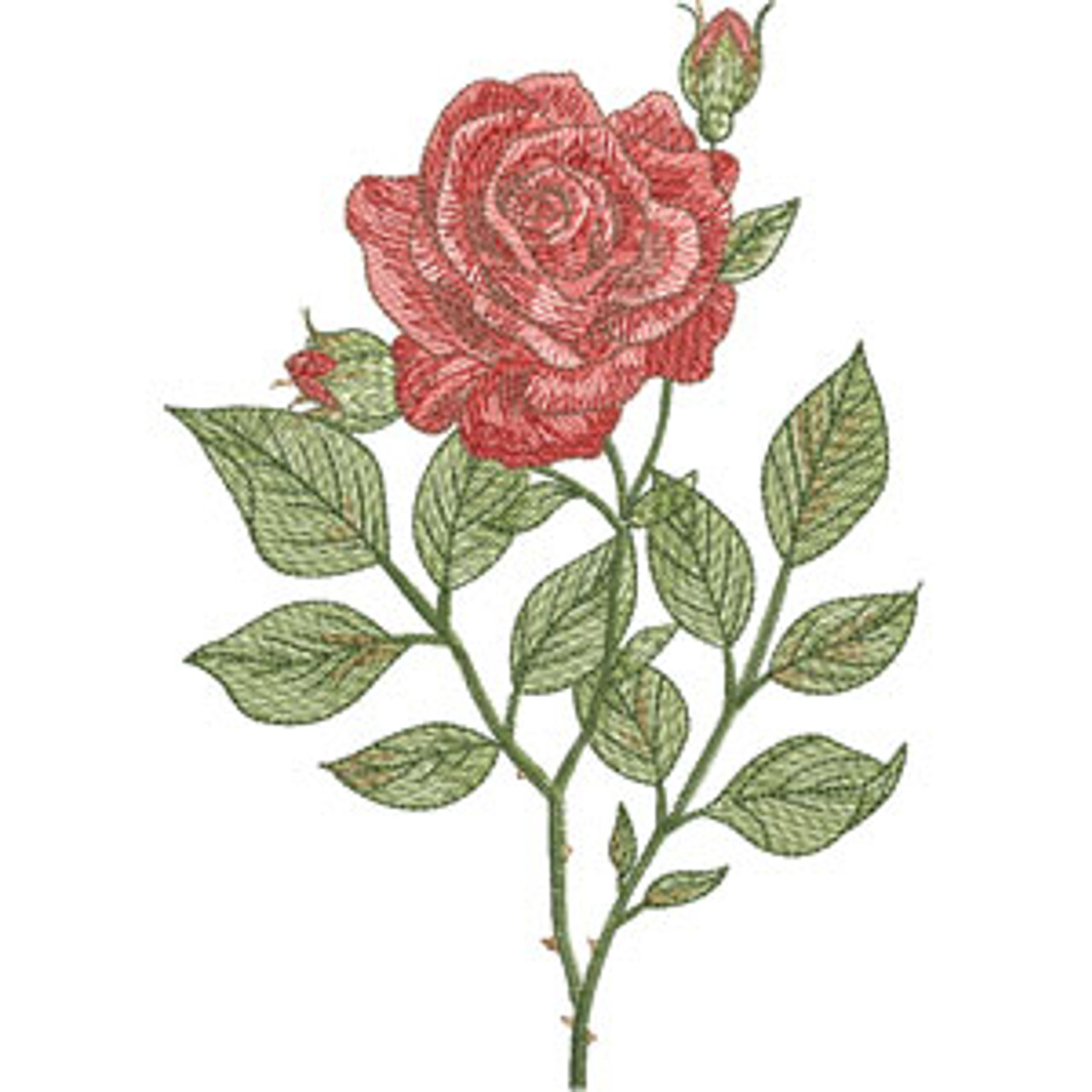 Rose | 12379-09
