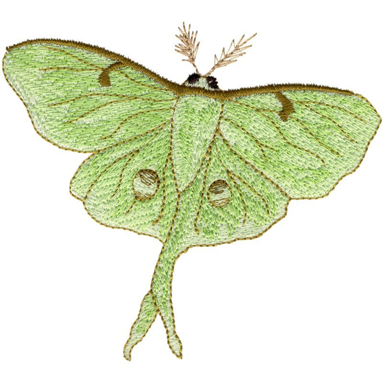 Luna Moth | 12389-03