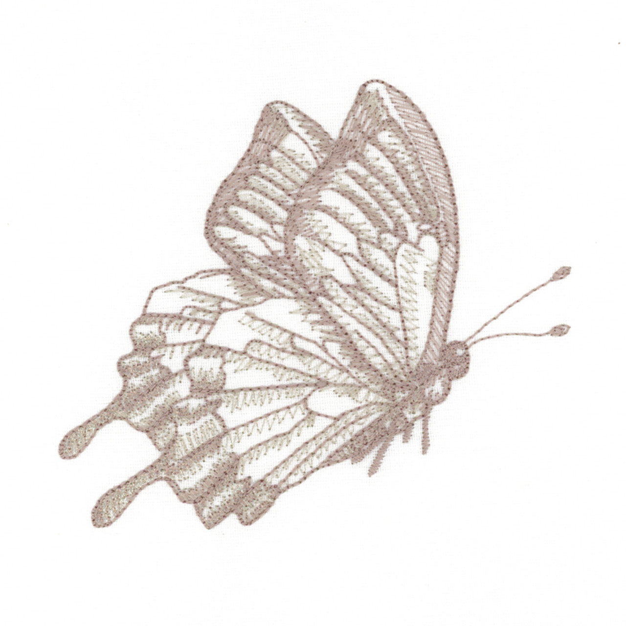 drawing pictures of butterflies