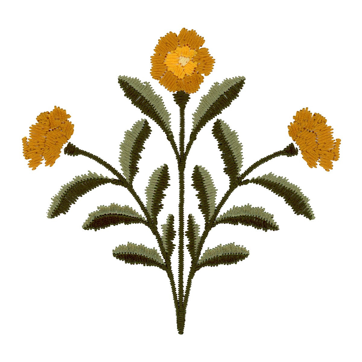 Heirloom Marigolds 2