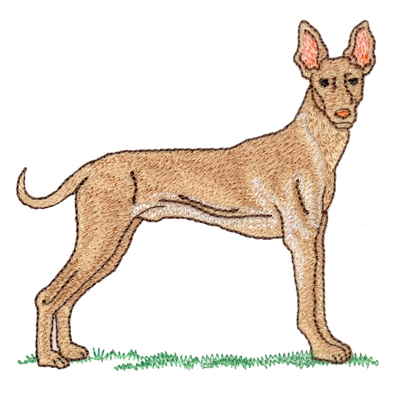 pharaoh hound price