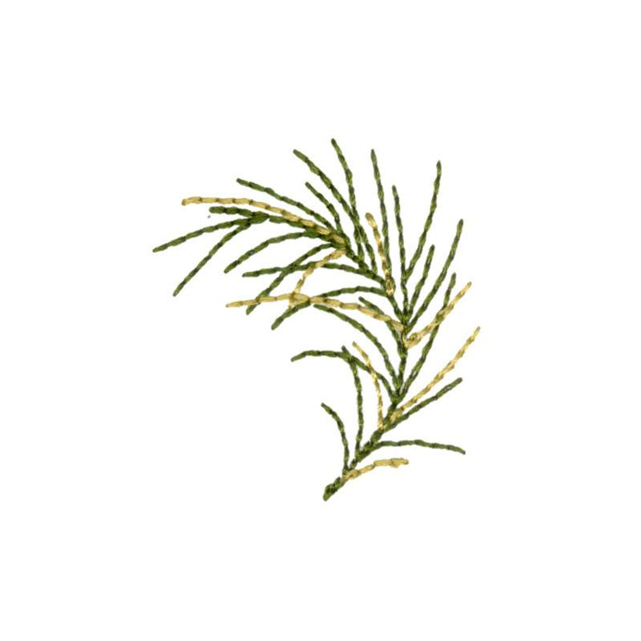 Evergreen Sprig Evergreen Sprig