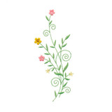 Daisy Branches
