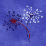 Fireworks 1