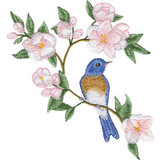 Bluebird & Apple Blossoms