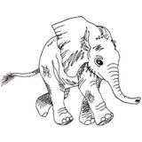 Linework Elephant Calf