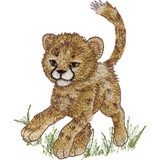 Cheetah Cub