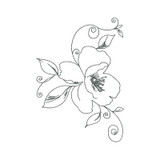 Flower & Vines Linework 4