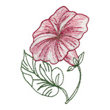Individual Flower 5