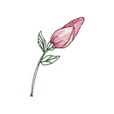Flower Buds