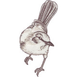 Mockingbird | 12389-12