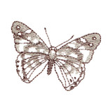 Painted Lady Butterfly