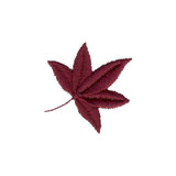 Maroon Leaf