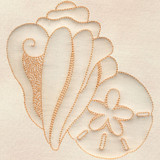 Shell & Sand Dollar