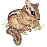Baby Chipmunk