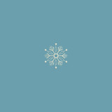 Snowflake 13 | 12429-13