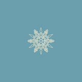 Snowflake 12 | 12429-12