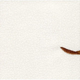 Winter Tile 10