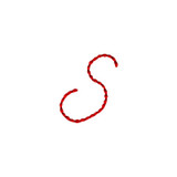 Lower Case S