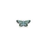 FSL Butterfly 2