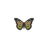 FSL Butterfly 1