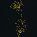 Blooming Doodle 3