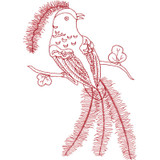 Linework Bird | 80034-13