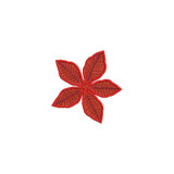 Poinsettia Petals 3