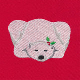 Polar Bear 1