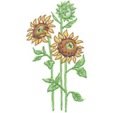Sunflowers | 80124-08
