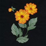 Mystic Spirit Dahlias