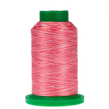 9405 Sweetheart Isacord Variegated Thread