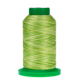 9868 Limeade Isacord Variegated Thread