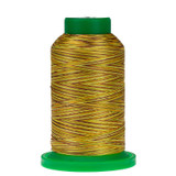 9975 Autumn Harvest Isacord Variegated Thread