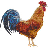 Rooster 1