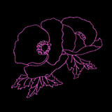 Midnight Poppies Linework