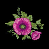 Midnight Poppies 1