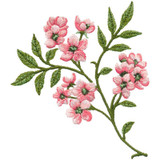 Flowers 2 | 80093-10