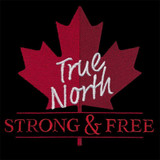 True North