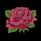 Rose 1 | 80293-03