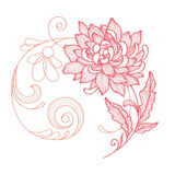 Dahlia Medium