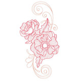 Anemone Small