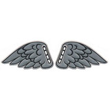 Gray Shoe Wings FSA