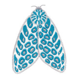 Moth 5 Linework
